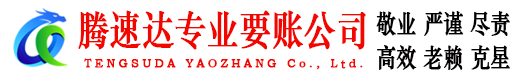 颍上腾速达清债公司
